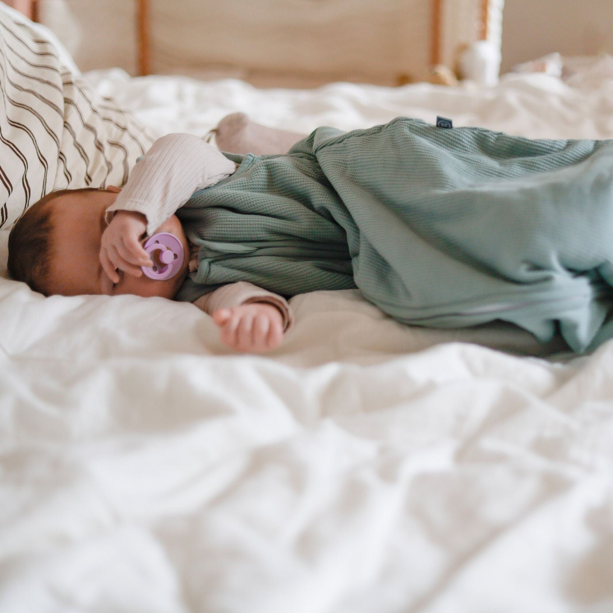 Schlafsack 2.5 TOG | Essential Mint