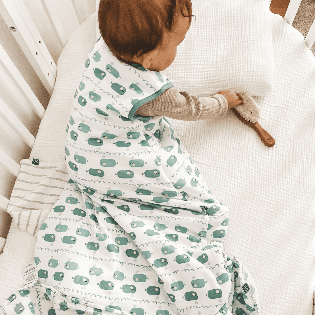 Schlafsack 2.5 TOG | Wal Blau