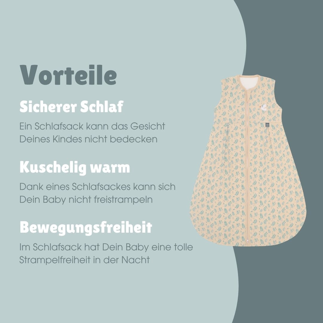 Schlafsack 1.0 TOG | Vogel