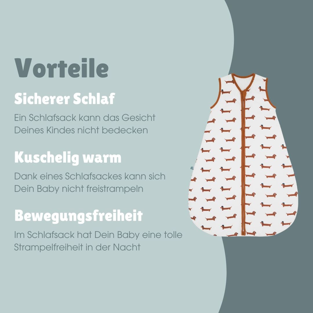 Schlafsack 2.5 TOG | Dackel