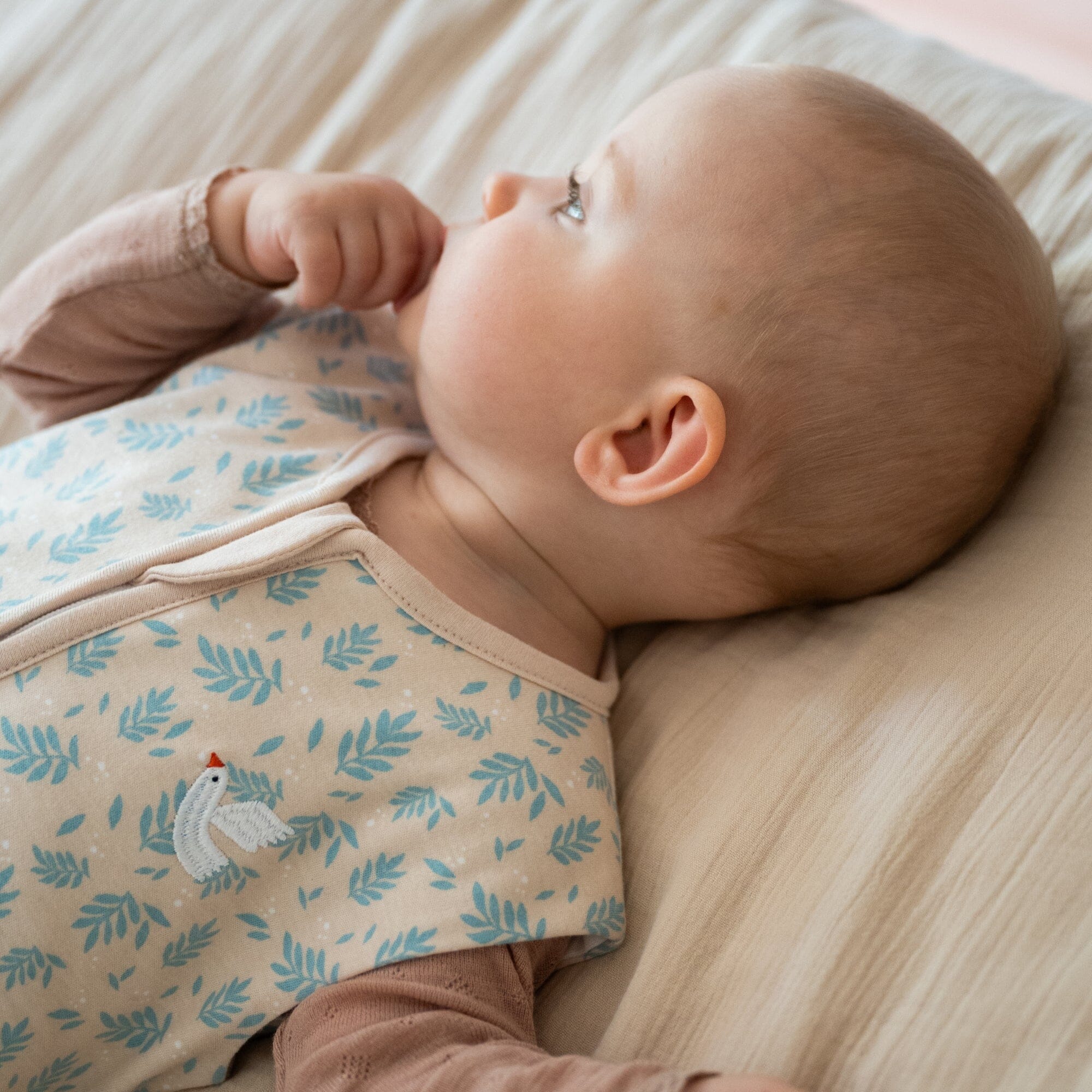 Schlafsack 1.0 TOG | Vogel