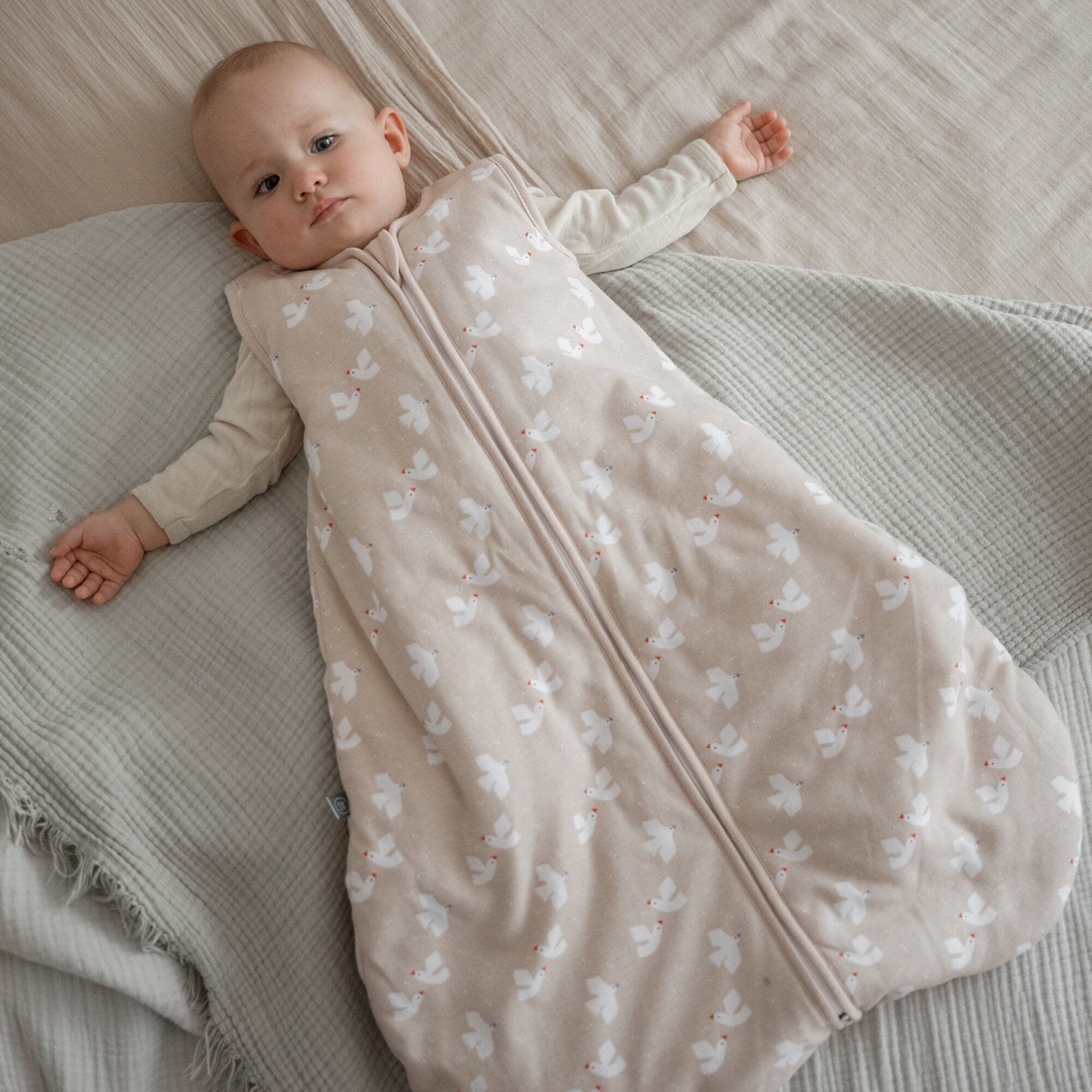 Schlafsack 2.5 TOG | Vogel